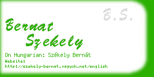 bernat szekely business card