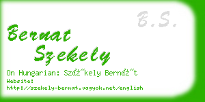 bernat szekely business card